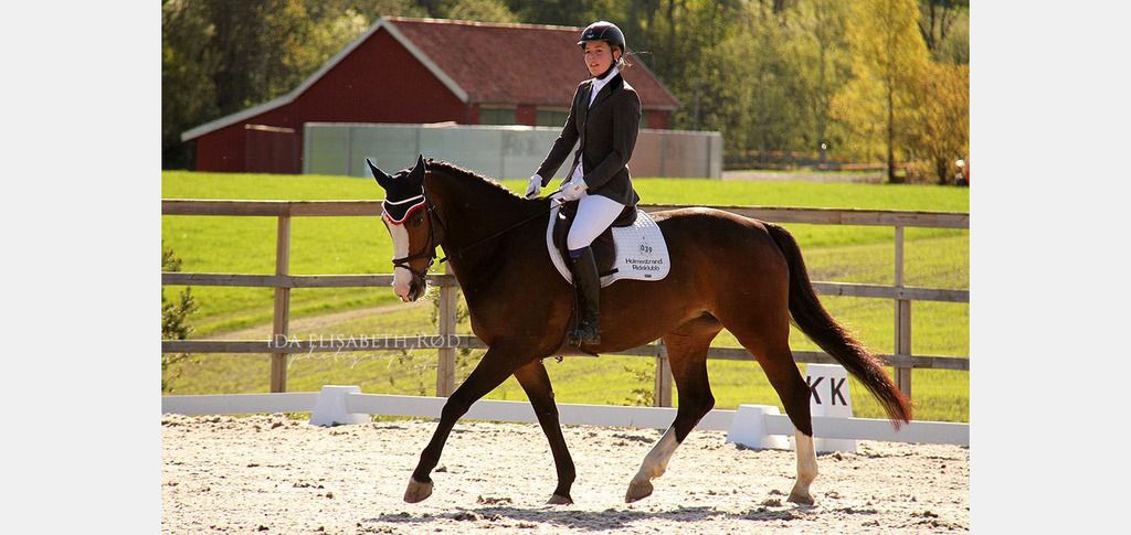  photo Holmestrand Tamina_zpsfiemeg5d.jpg