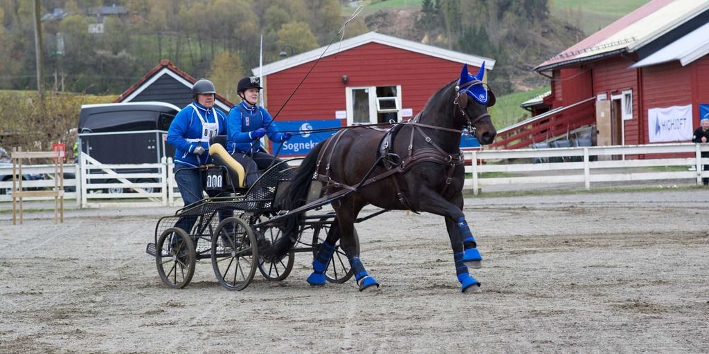  photo Vik_0083_zpsmw4vdhoa.jpg