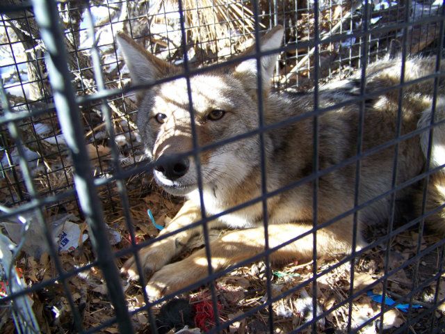 103_2024_zps00652419.jpg