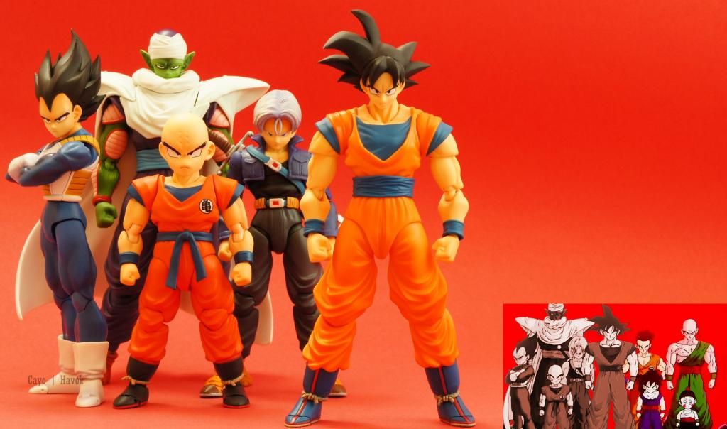 http://i1302.photobucket.com/albums/ag131/timone317/DragonBallToys/DragonballZSHFiguarts/OsNIYfe_zpsf91af1fc.jpg