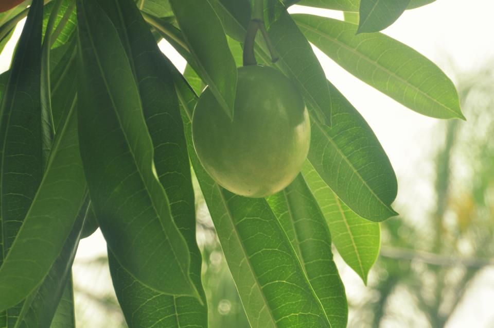  photo 66847_570728202960233_1668337368_n_zps2fb2db77.jpg