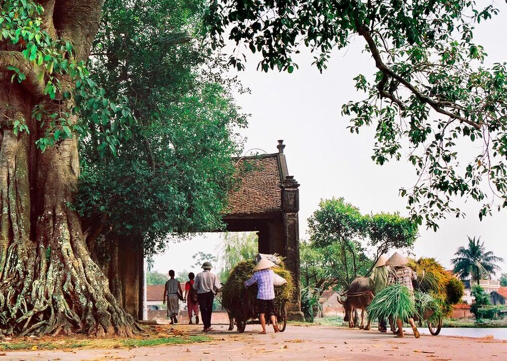 Cổng làng Mông Phụ; ảnh: Vũ Đình Tuệ