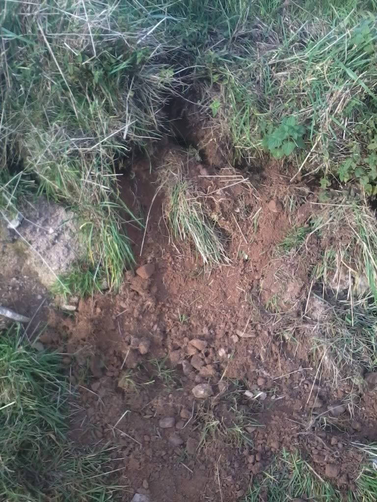 2013-12-08141252_zps315789fb.jpg