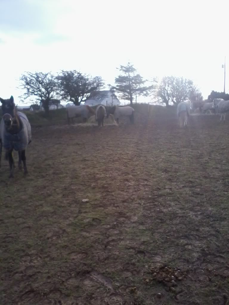 2013-12-08141451_zps632382e9.jpg
