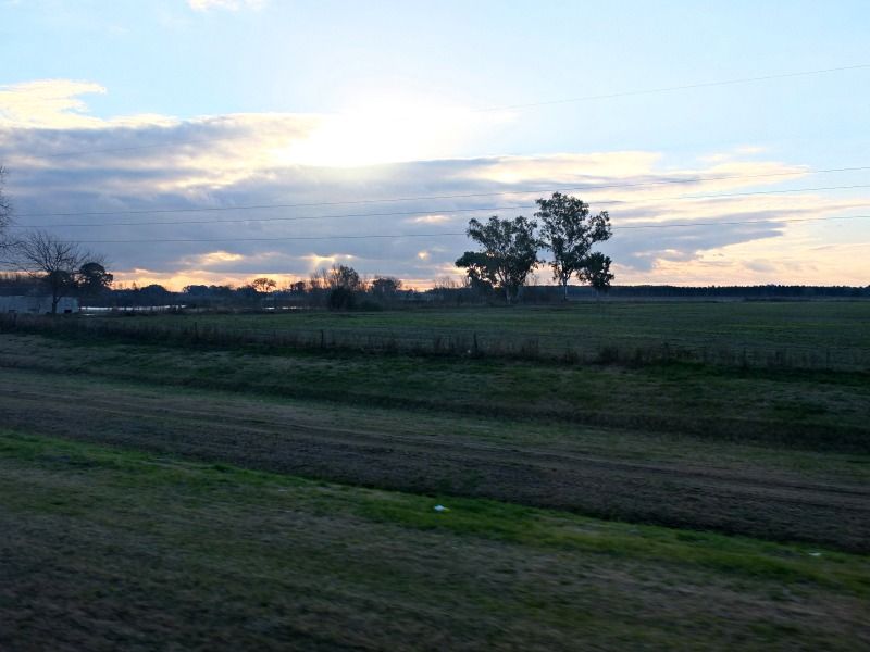 66_zpsc1901510.jpg