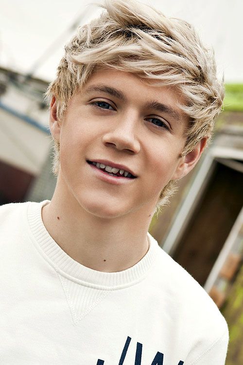 Niall-Horan-1_large_zps43b2e5b8.jpg