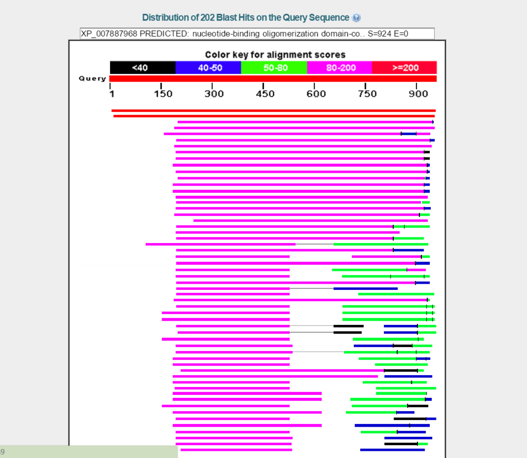 external image NOD1%20orthologue_zpsvkhkujch.png