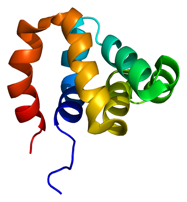 external image NOD1%20protein%20picture_zpsonwerjdc.png