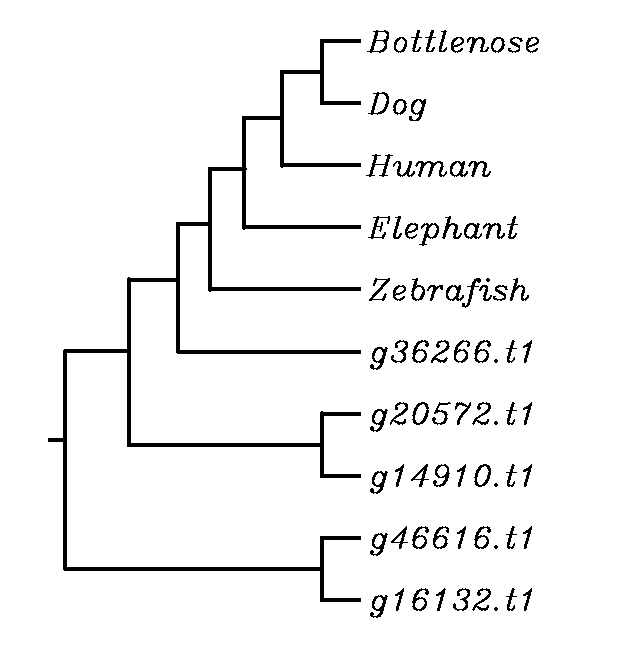 external image Screen%20Shot%202015-04-07%20at%204.13.50%20PM_zpsxxlhmwwl.png
