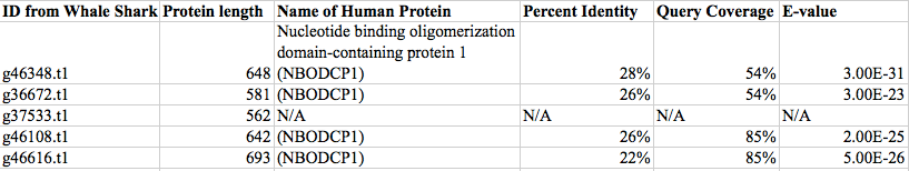 external image actual%20NOD1%20proteins%20found%20in%20humans_zpsupt8uquz.png