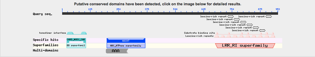 external image domains%20of%20NOD1_zpsqk3uww1v.png