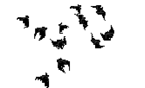 halloween gif photo: Bat group gif tumblr_muxqg5aBzG1rdpgajo1_500_zpse43b1fa0.gif