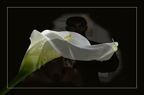  photo Galla-SabsampDuan_zpszpakk6lv.png