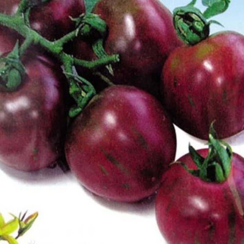 200 Purple Tomato Seeds Delicious Vegetables and Fruit Organic Seeds ...