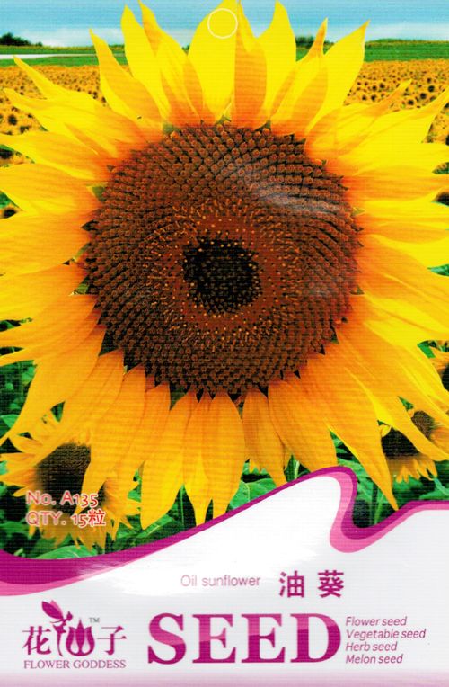 Original Package 15 Oil Sunflower Seeds Helianthus Annuus Linn Flowers A135