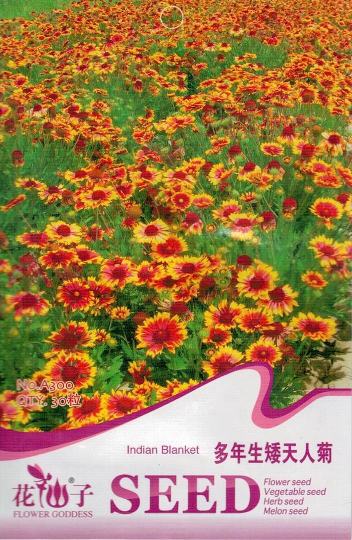 Original Package 30 Indian Blanket Seeds Gaillardia Aristata Garden Flowers A300