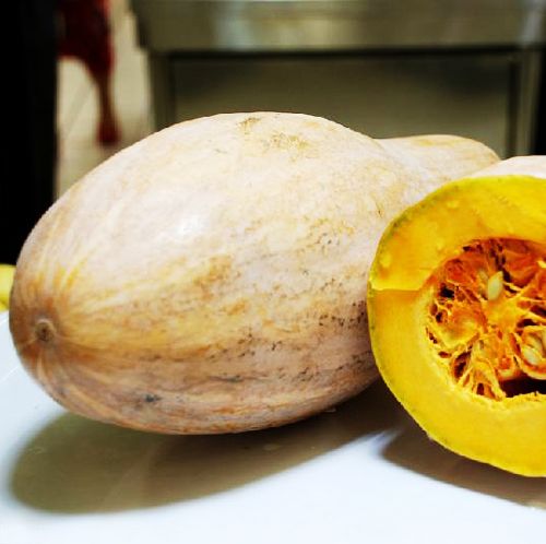 Original Package 8 Pumpkin Seeds Cucurbita Sweet Pumpkin Vegetable Seed Hot C044