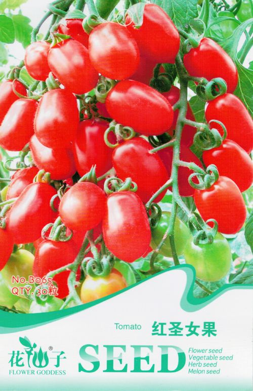 Original Package 30 Tomato Seeds Red Cherry Tomatoes Garden Vegetable B065 
