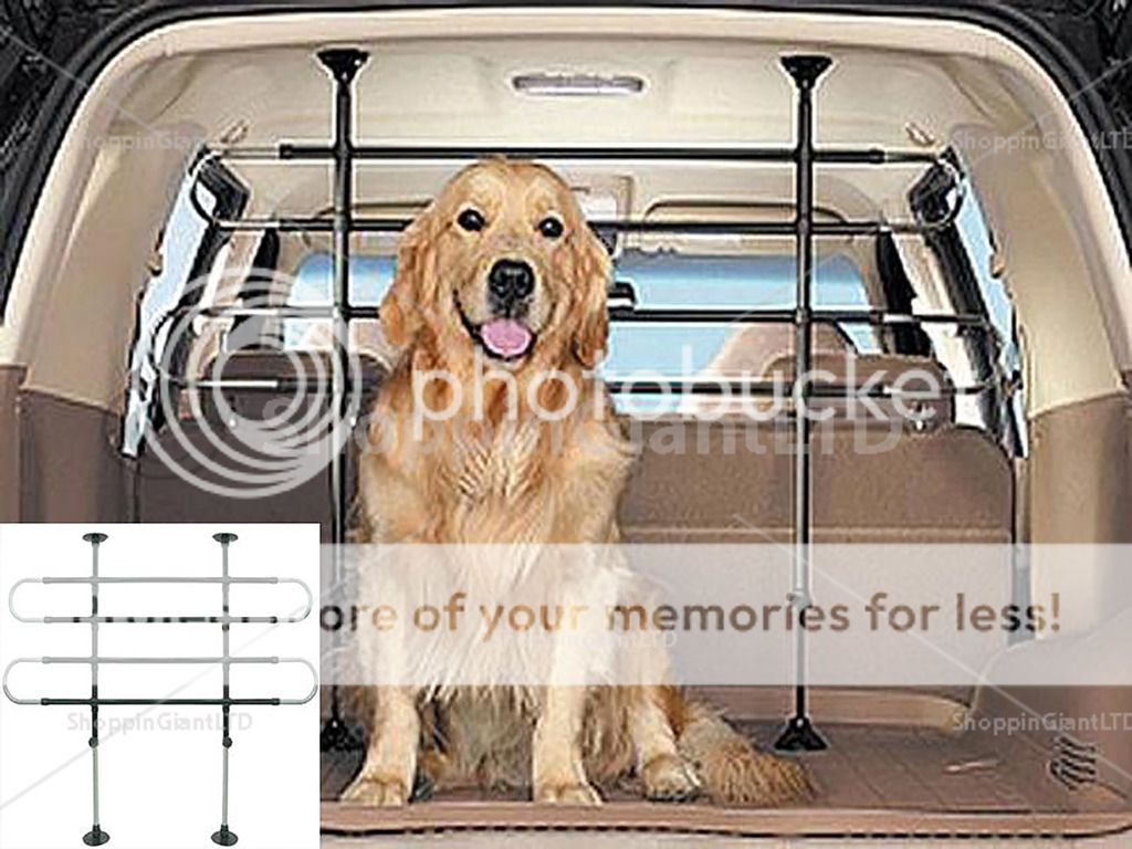 photo ct2369_zpsb0bd9570.jpg