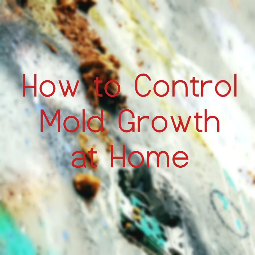 control mold growth at home