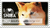 photo shiba_inu_stamp_by_flashbackpractice-d4bx640_zps7598f359.png